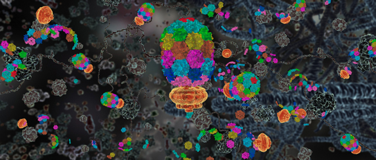 Still from a video clip produced by the Computational Visualization Center at The University of Texas at Austin showing biomolecular machines manufacturing proteins. [Click image to see entire animation.]