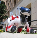 Aibo in front of ACES