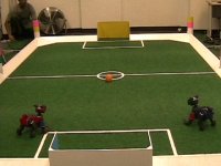 Dark to Bright video.