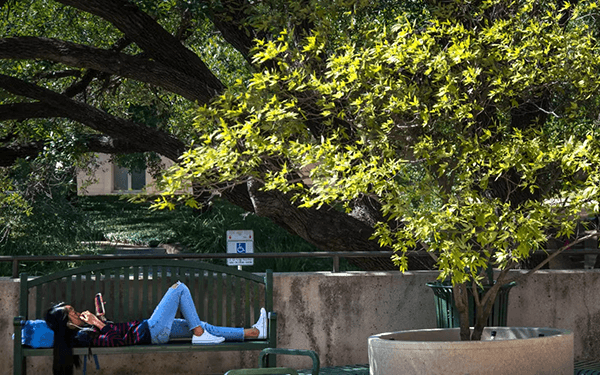 A person lies on a bench outdoors under a large tree, reading a book or using a tablet, with a backpack resting nearby and bright green leaves overhead.