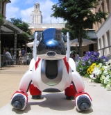 Aibo with tower and flowers