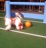 Robot shooting