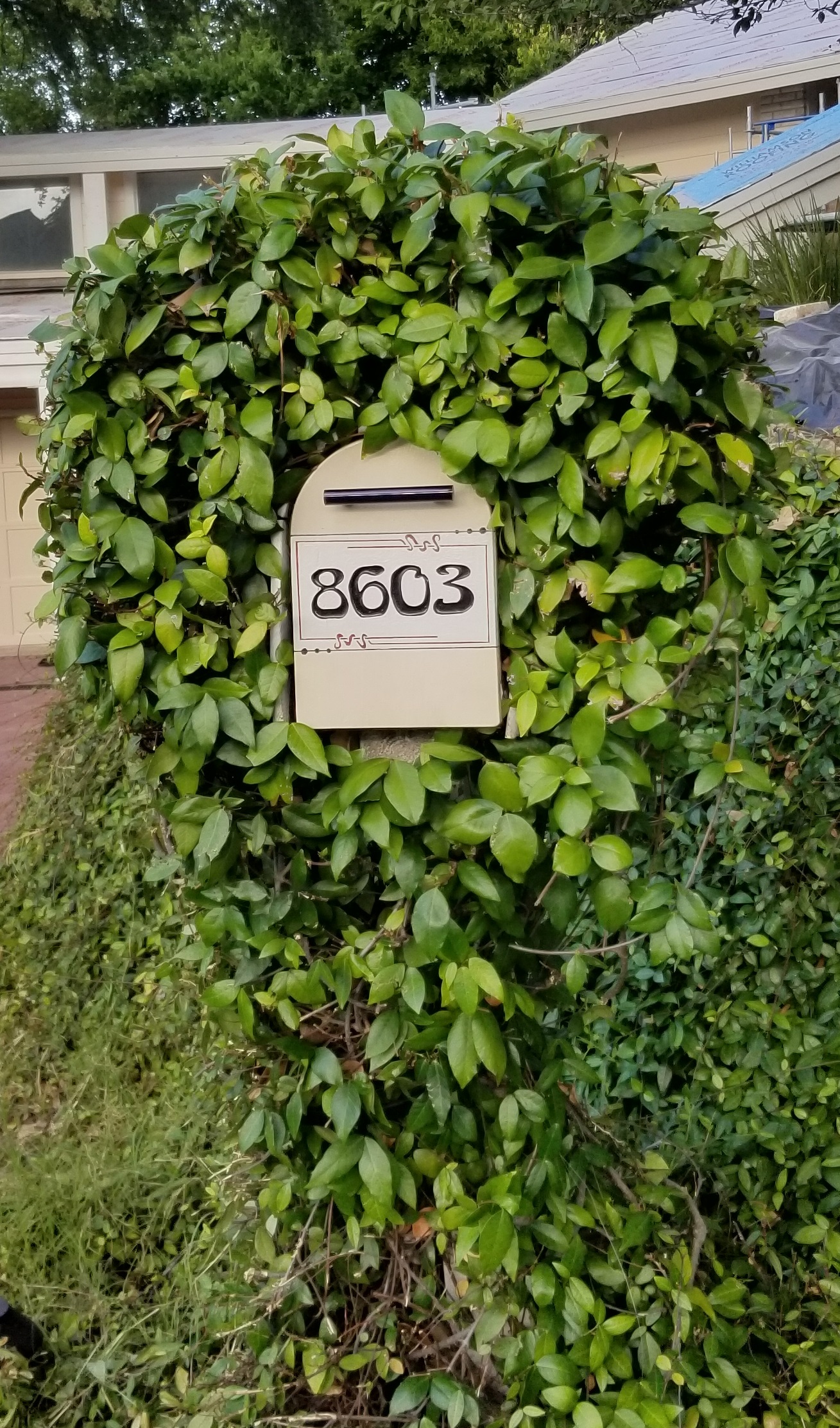 mailbox front