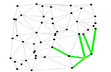 Graph with Paths