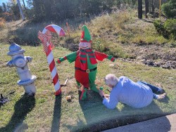 Elfred and Candy