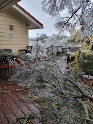 Our back porch during the ice storm.