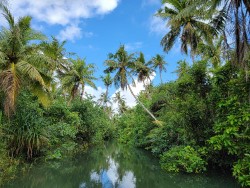 river in jungle in the interior of Guam