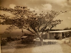 1960s house on Nimitz Hill