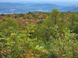view from Skyline Drive