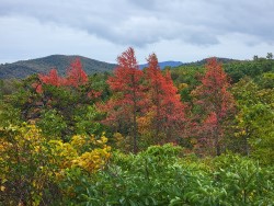 view from Skyline Drive