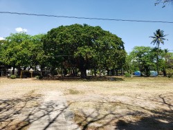 park in Subic Bay today