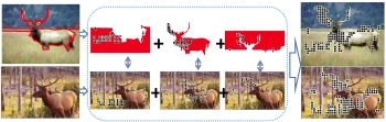 region to image matching