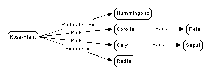 Undisplayed Graphic