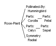 Undisplayed Graphic