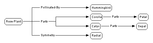 Undisplayed Graphic