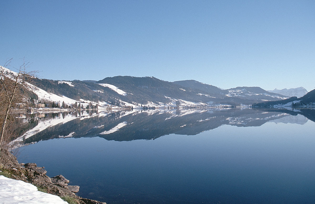 (Picture of a Lake)