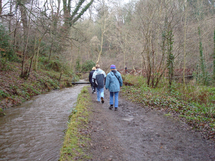 DSC00185.JPG