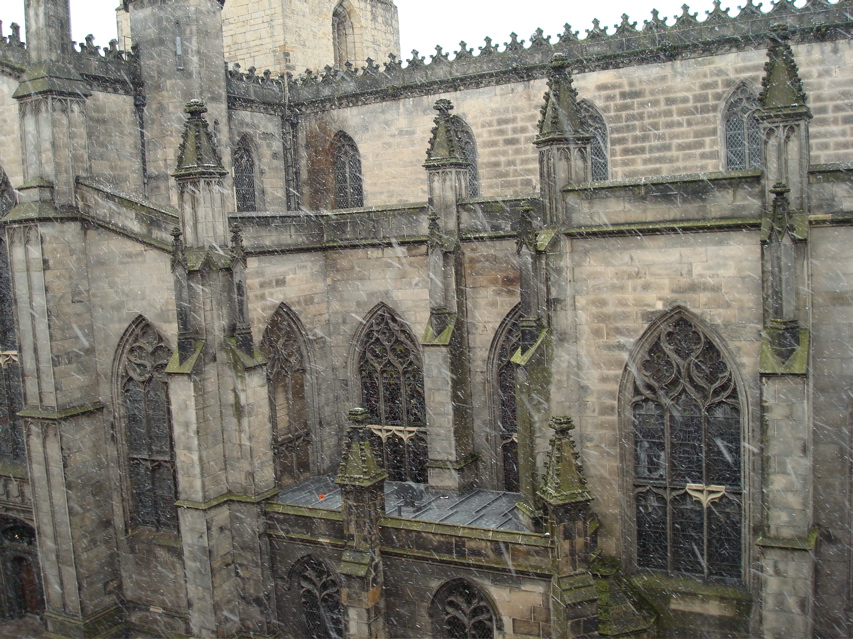 DSC00219.JPG