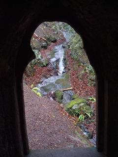 DSC00179.JPG