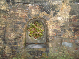DSC00181.JPG