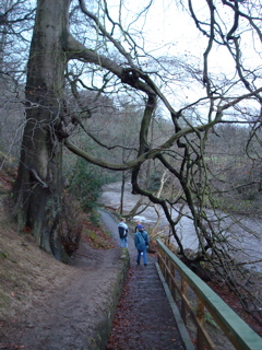 DSC00184.JPG