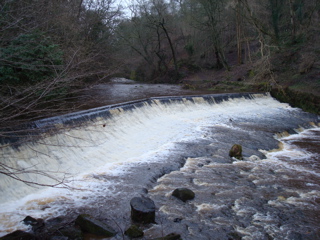 DSC00188.JPG