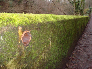 DSC00191.JPG