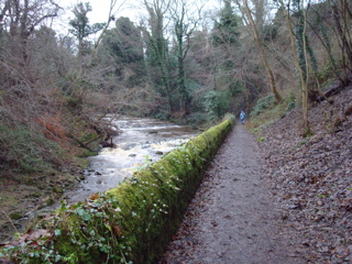 DSC00194.JPG