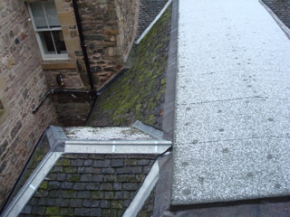 DSC00211.JPG