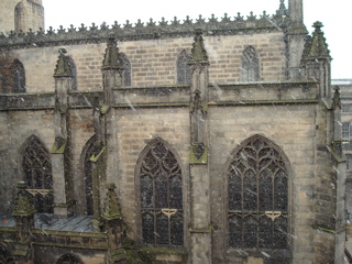 DSC00217.JPG