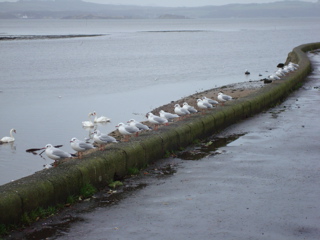 DSC00113.JPG