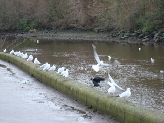 DSC00114.JPG