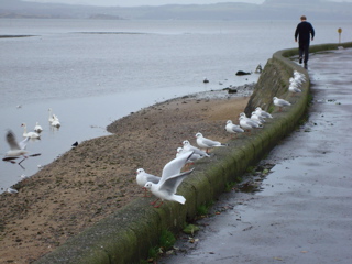 DSC00115.JPG