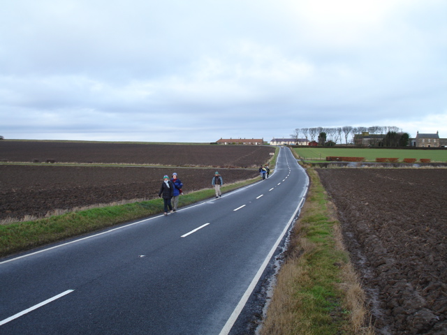 DSC00184.JPG