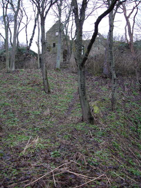 DSC00205.JPG