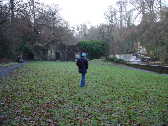 DSC00211.JPG