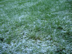 DSC00083.JPG