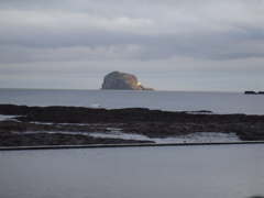 DSC00138.JPG