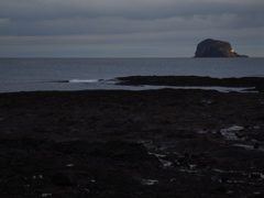 DSC00145.JPG