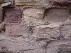 DSC00175.JPG