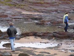 DSC00191.JPG