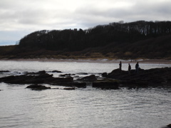 DSC00192.JPG