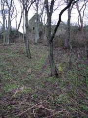 DSC00205.JPG