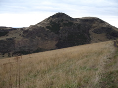 DSC00222.JPG