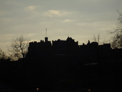 DSC00256.JPG