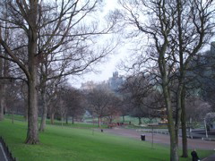 DSC00258.JPG