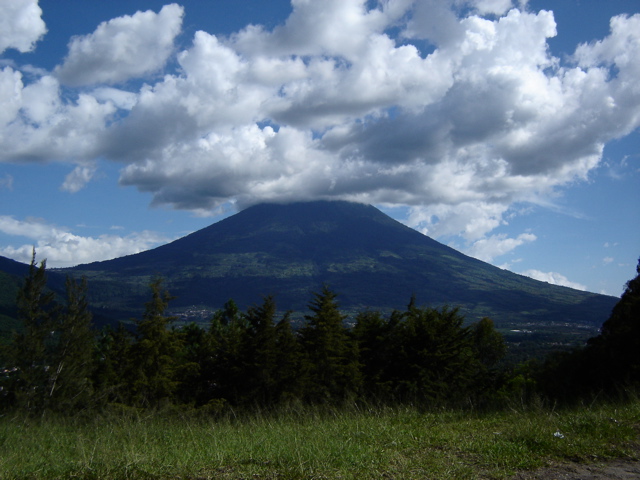 DSC01713