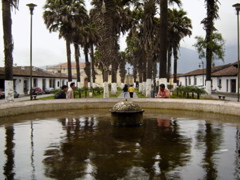 060_60.JPG