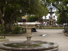 066_66.JPG