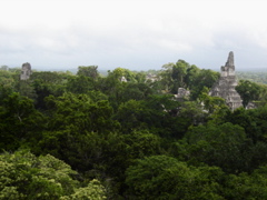 118_118.JPG
